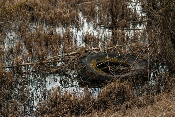 istock Bulky car waste illegally dumped in nature 1441923173