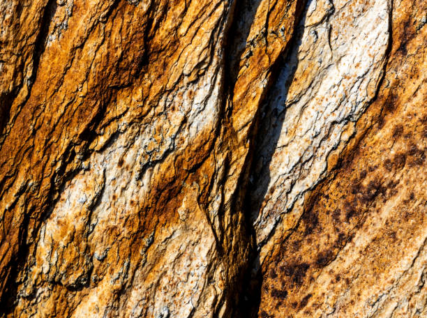 istock Marble texture abstract background in natural colors. 1441923805