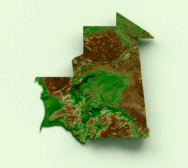 istock Mauritania Topographic Map 3d realistic map Color 3d illustration 1441924059