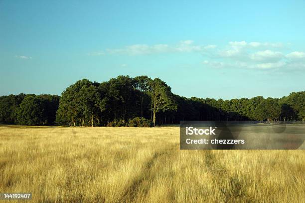 Villaggio Comuni In Estate - Fotografie stock e altre immagini di Chorleywood - Chorleywood, Campo, Campo da golf