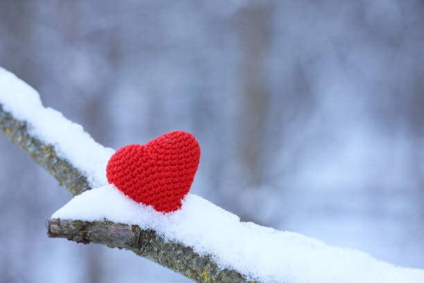 istock Love heart in snow on a tree branch, Valentine's card 1441924821