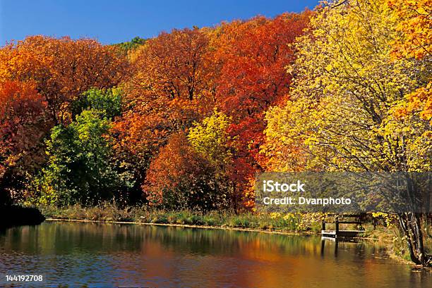 Foto de Outono No Lago e mais fotos de stock de Amarelo - Amarelo, Assistindo, Beleza