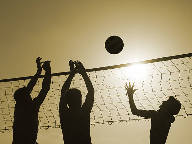 Volley-ball stock photo