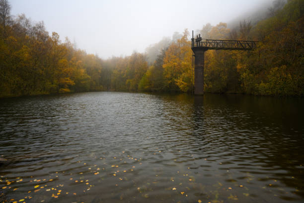 reservoir in Shropshire with Autumn trees