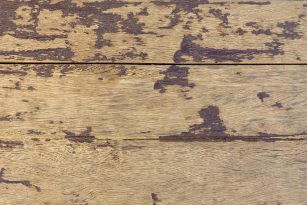 Wood horizontal plank background texture hardwood nature pattern