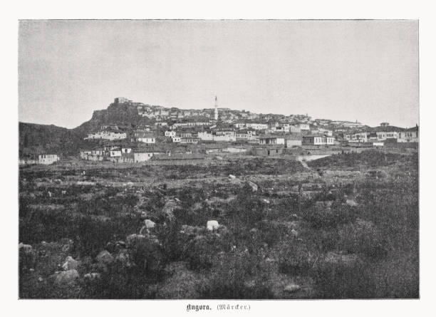 istock Historical view of Ankara, Turkey, halftone print, published in 1899 1441929915