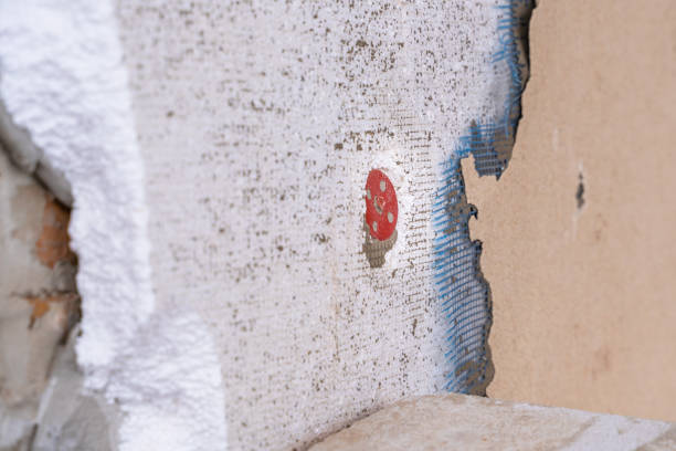 istock Old abandoned facade covering. Facade plaster bark beetle 1441931168