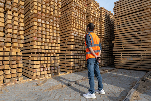 A male engineer works in the warehouse of the timber freight terminal