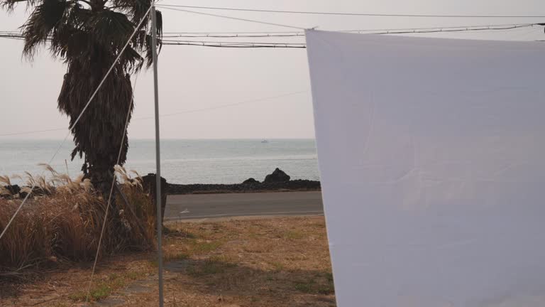 a cloth hanging in the yard with an ocean view flying in the wind