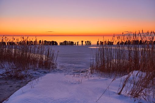 Old wooden breakwater in frozen lake during sunset, Netherlands. The sky is clear and there is some snow over the ice. There is reeds along the waterline.