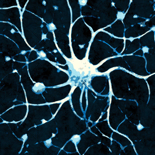 Microscopic view of neurons. Brain connections. Synapses. Communication and cerebral stimulus. Neural network circuit, degenerative diseases, Parkinson, Alzheimer