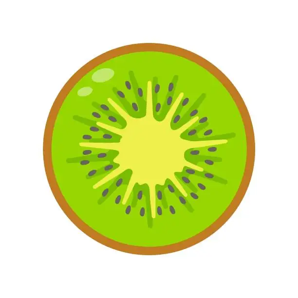 Vector illustration of halved kiwi fruit Healthy food for vegetarians