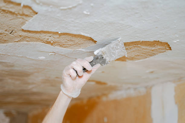 istock plastering holes in the walls with a tool 1441935094