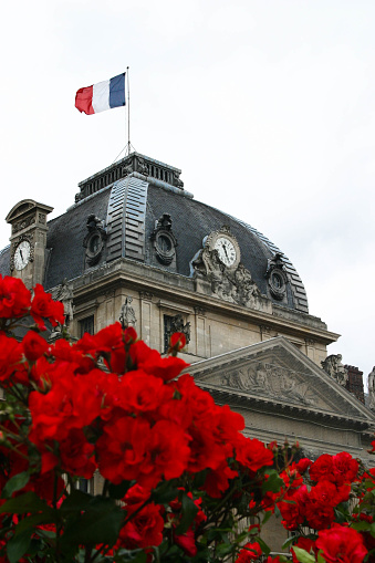 France Flag and Flowers