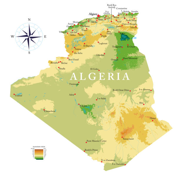 algeria highly detailed physical map - 阿爾及利亞 幅插畫檔、美工圖案、卡通及圖標