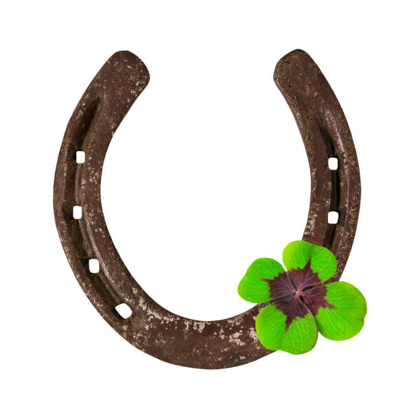 istock Horseshoe and clover isolated on white background 1441938858