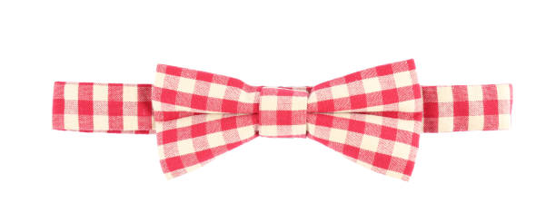 istock Stylish red gingham bow tie isolated on white 1441942348