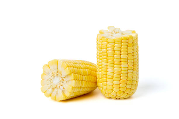 istock Fresh sweet corn is a healthy food. 1441943924