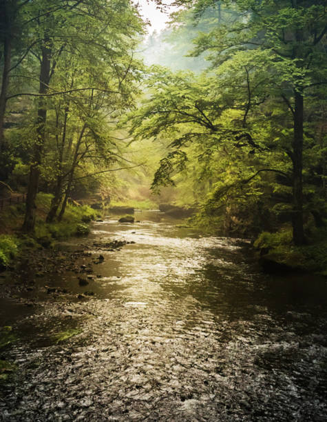 istock Beautiful Hrensko, Czech Republic pictures 1441945892