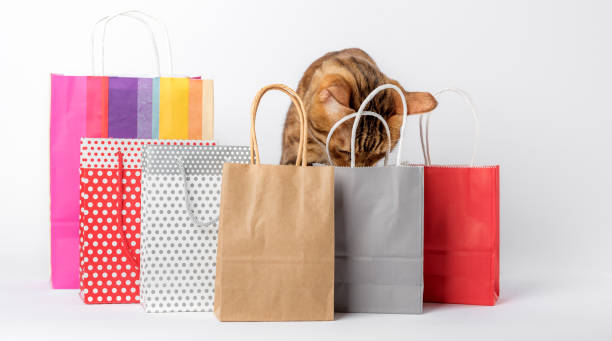 istock Domestic cat among multi-colored packages on a white background. 1441945967