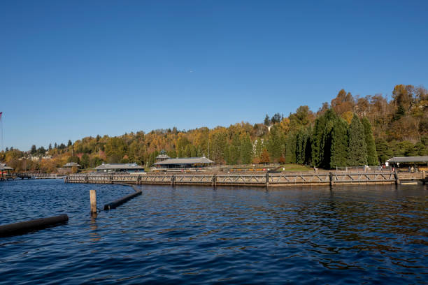 istock Gene Coulon Beach Park 1441955610