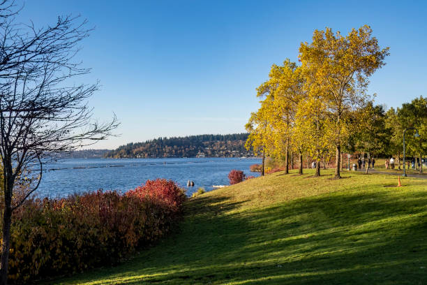 istock Gene Coulon Beach Park 1441955735