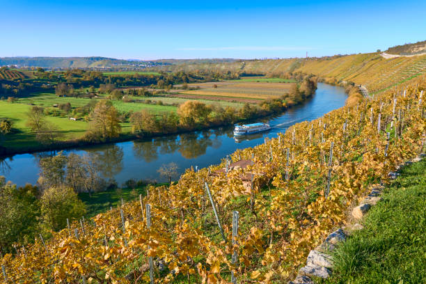 istock autunbal vineyards above river valley 1441959060