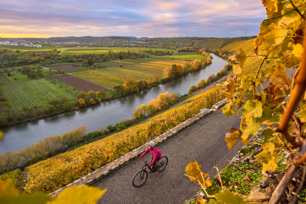 istock autunbal vineyards above river valley 1441960096