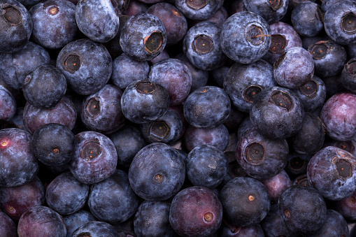 A background of fresh blueberries