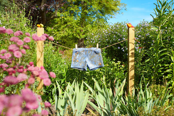 istock Funny garden design among nice flowers 1441967293