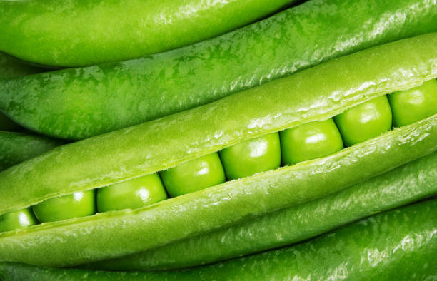 close-up da vagem de ervilha - green pea pea pod sweet food freshness - fotografias e filmes do acervo