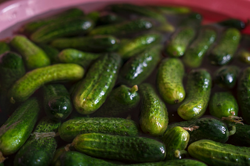 Green cucumbers in water