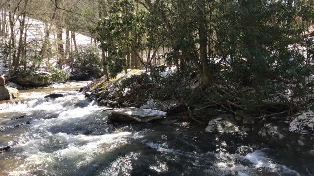 Small creek and waterfalls in winter with snow and rhododendron, Appalachian mountains of North Carolina