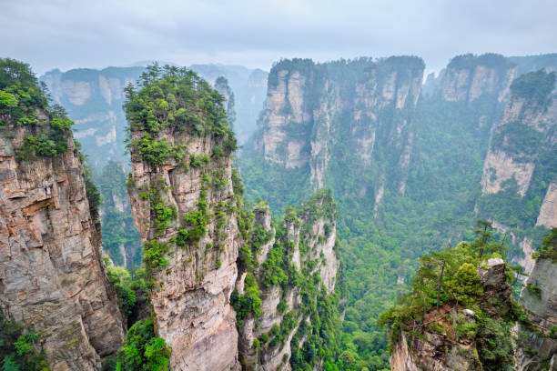 istock Zhangjiajie mountains, China 1441972362