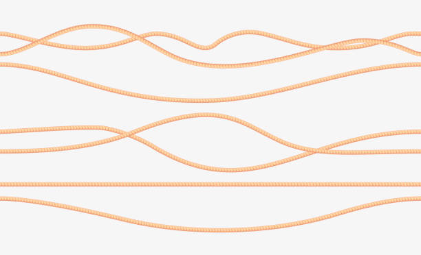 istock Seamless ropes. Natural sailor twisted straight tied up braided threads and loops, intertwined sailor jute cord decorative elements. Vector collection 1441973063