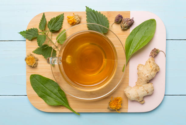 istock Herbal tea with ingredients on wooden background, top view 1441979719