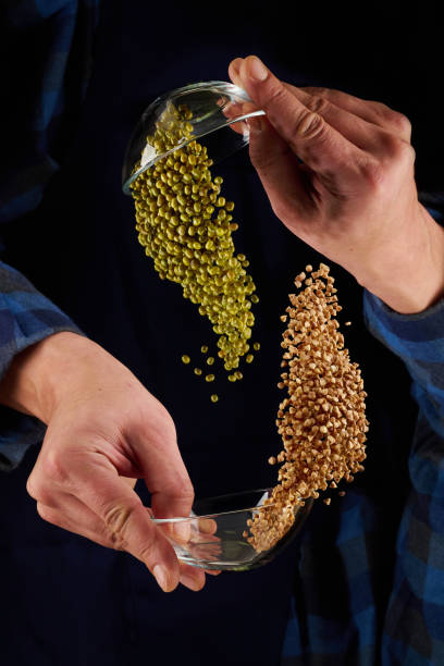 гречка и фасоль - buckwheat groats стоковые фото и изображения