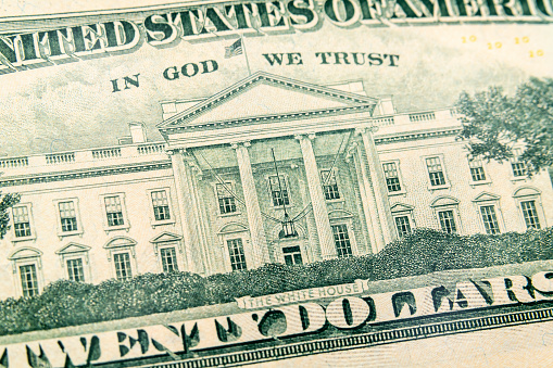Macro view of the White House on back of the US twenty dollar bill.