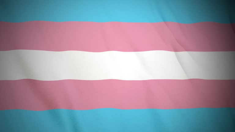 Trangender flag