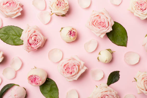 istock Flat lay with rose flowers on color background, top view 1441990576
