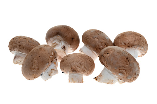 Five fresh Morel Mushroom (Morchella esculenta) on white background.
