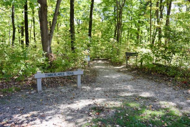 istock Start of Hiking Trail 1441992578