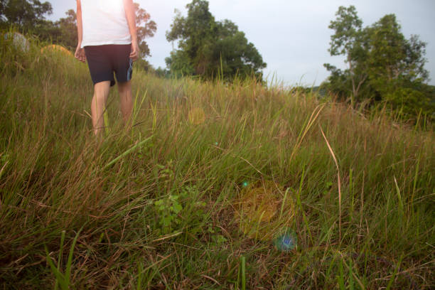 Man walking with a walking stick on a forest path close to the city