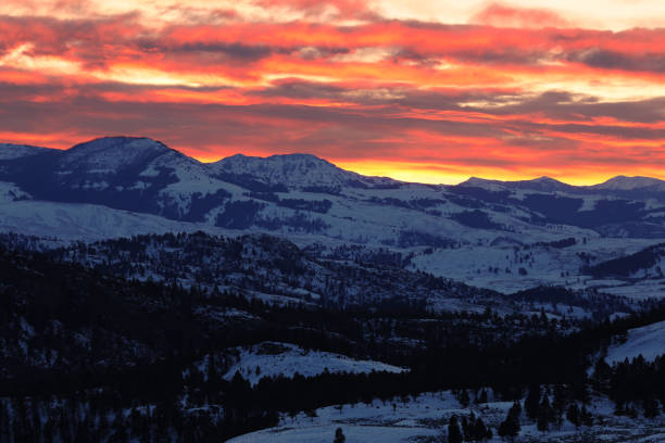 istock Sunrise at Yellowstone in Winter 1441994365
