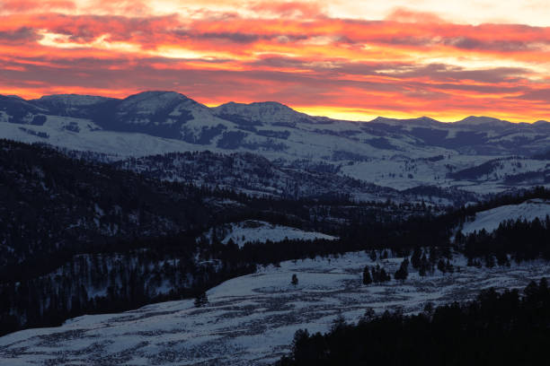 istock Sunrise at Yellowstone in Winter 1441994367