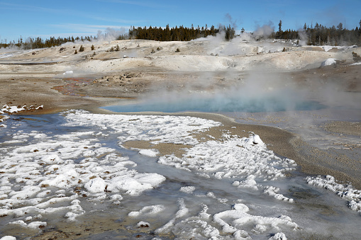 Norris Geyser Basin in Yellowstone in Winter