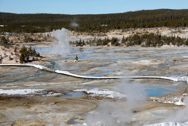 Norris Geyser Basin in Yellowstone in Winter Norris Geyser Basin in Yellowstone in Winter geothermal reserve stock pictures, royalty-free photos & images