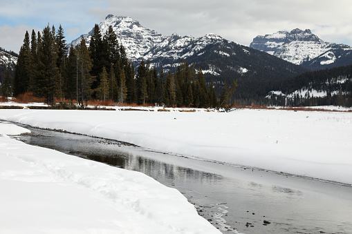 Winter Landscape in Lamar Valley in Yellowstone National Park