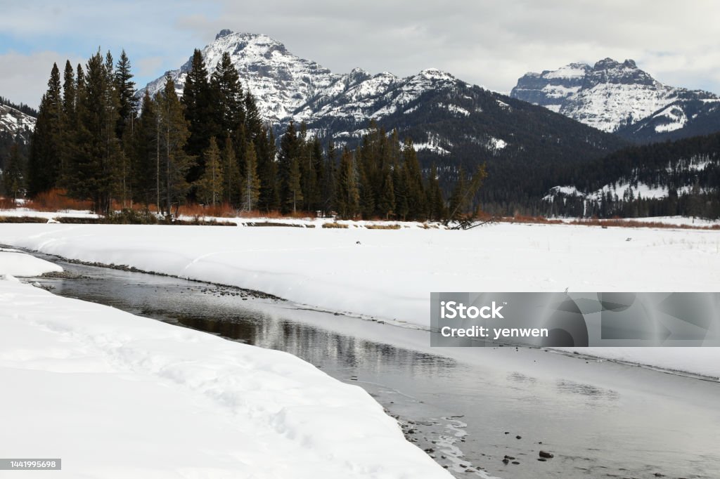 Winter Landscape in Yellowstone Winter Landscape in Lamar Valley in Yellowstone National Park River Stock Photo
