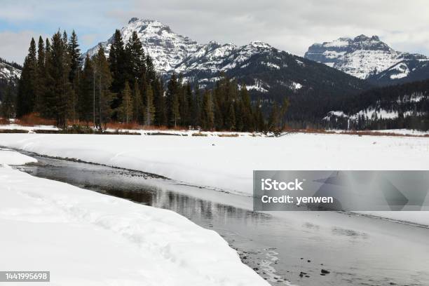 Winter Landscape In Yellowstone Stock Photo - Download Image Now - River, Snow, Tree